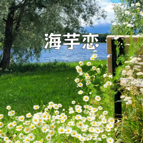 海芋恋