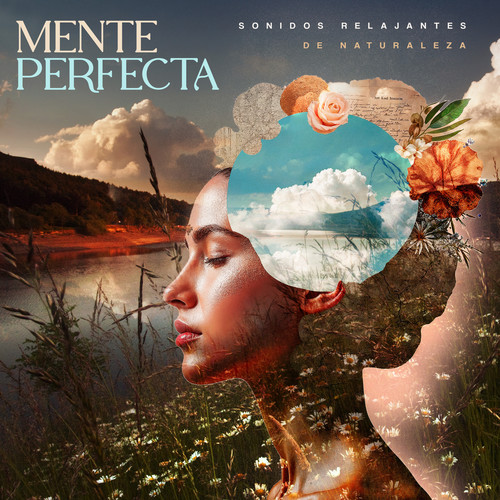 Mente Perfecta