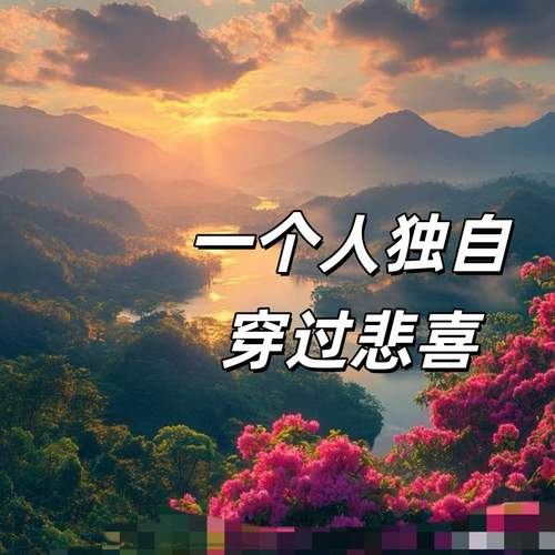 一个人独自穿过悲喜