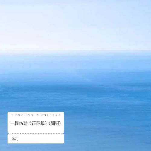 一程伤悲（琵琶版）(翻唱)