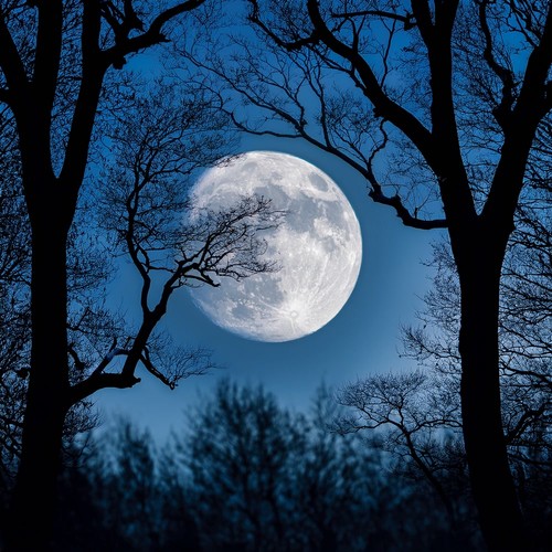 Music For The Gentle Descent Into Restful Sleep