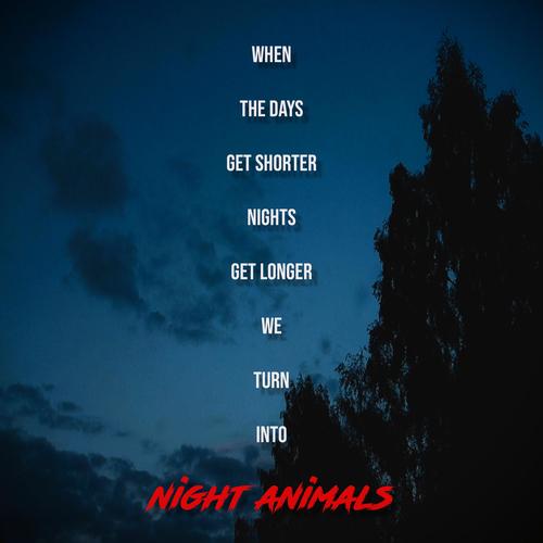 Night Animals (feat. Till Wild)