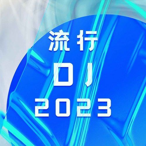 流行DJ2023