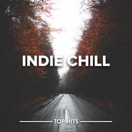 Indie Chill (Explicit)