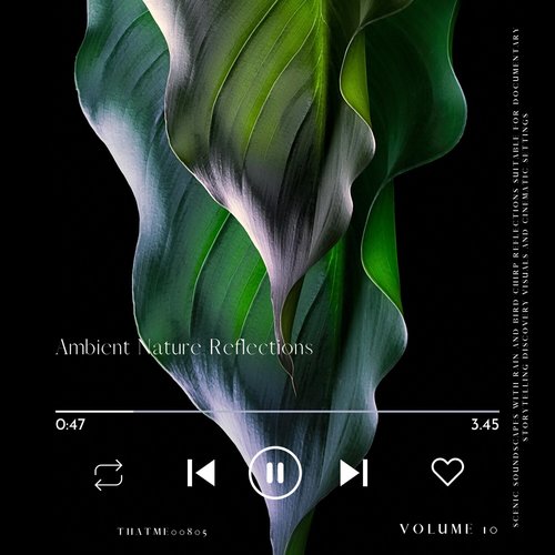 Ambient Nature Reflections - Scenic Soundscapes with Rain and Bird Chirp Reflections suitable for Documentary Storytelling Discovery Visuals and Cinematic Settings, Vol. 10