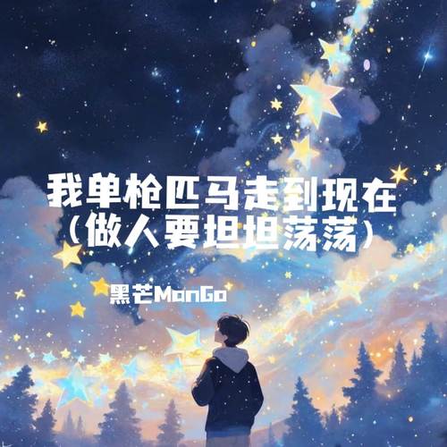 我单枪匹马走到现在 (做人要坦坦荡荡)