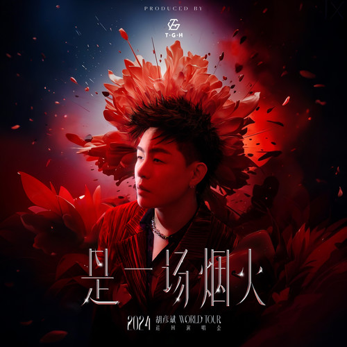 胡彦斌2024是一场烟火巡回演唱会现场专辑