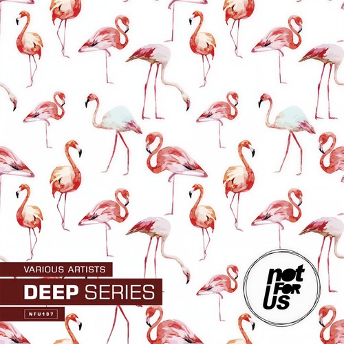 Deep Series