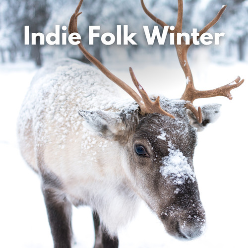 Indie Folk Winter (Explicit)