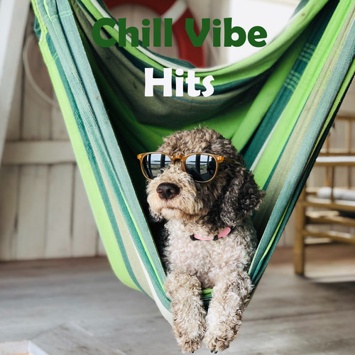 Chill Vibe Hits (Explicit)