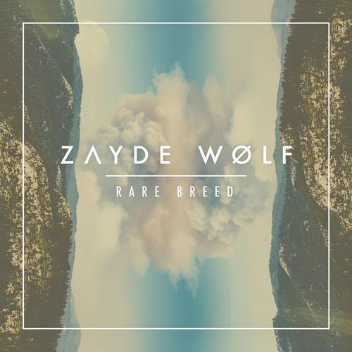 Heroes - Zayde Wølf