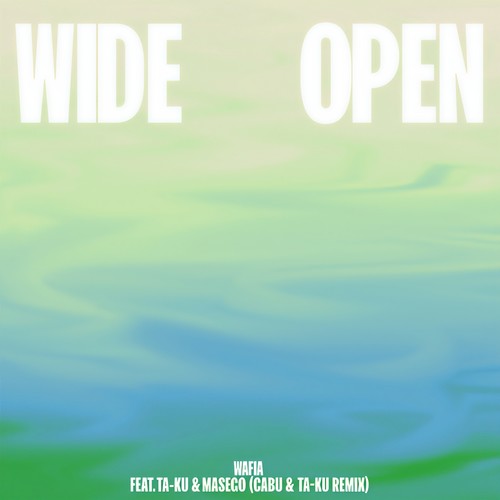 Wide Open (feat. Ta-ku & Masego) (Cabu & Ta-ku Remix)