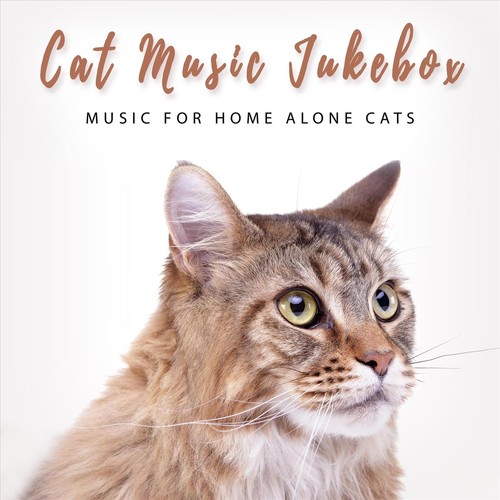 Music for Home Alone Cats