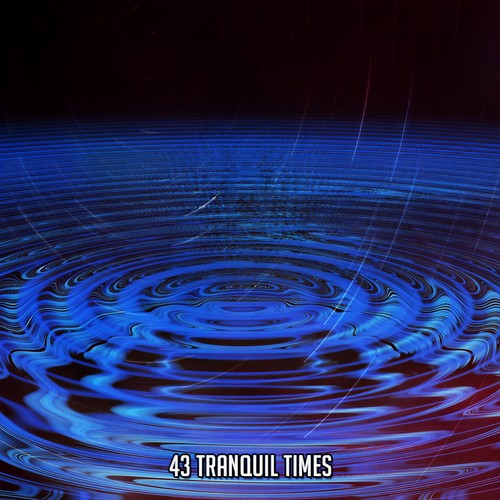 43 Tranquil Times