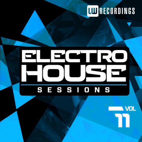 Electro House Sessions, Vol. 11