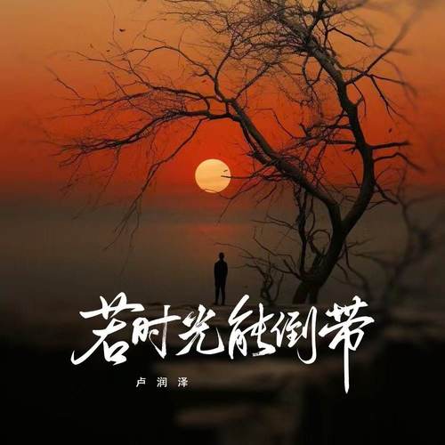 卢润泽-若时光能倒带(ape)百度云盘下载