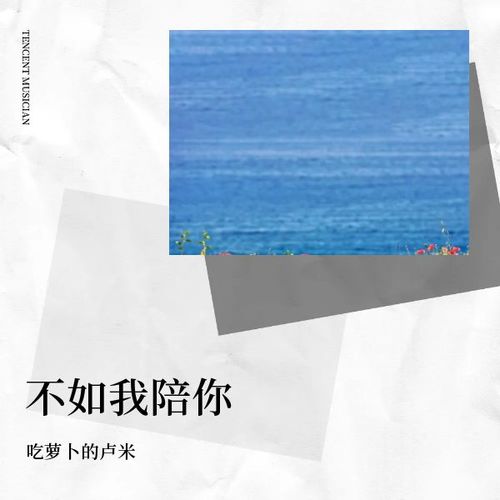 不如我陪你