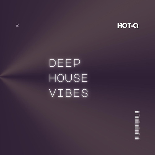 Deep House Vibes 016