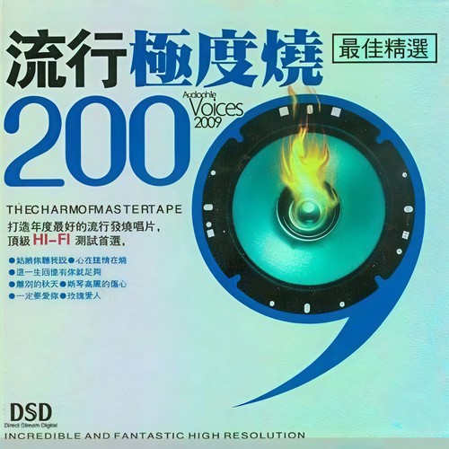 流行极度烧2009最佳精选