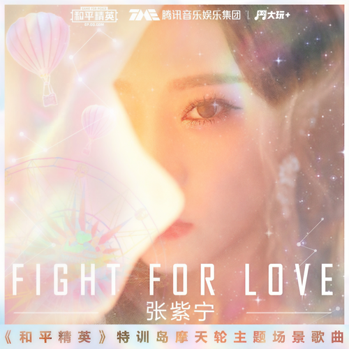 Fight For Love