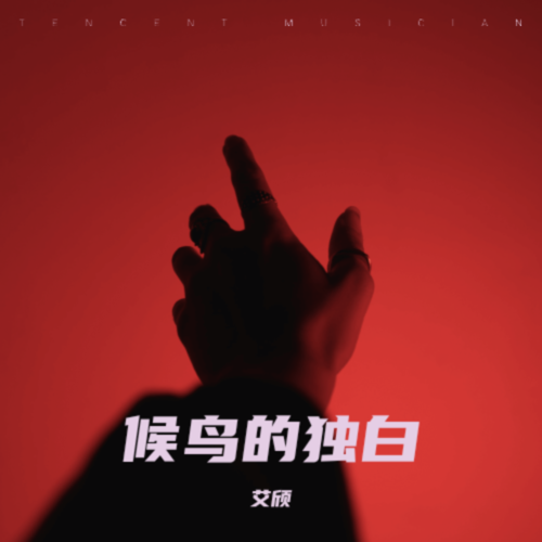 候鸟的独白