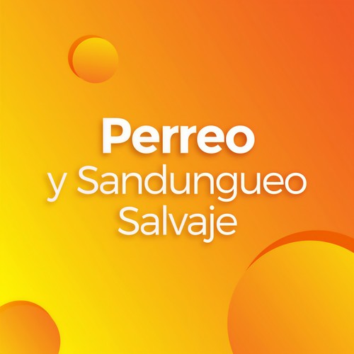 Perreo y Sandungueo Salvaje (Explicit)