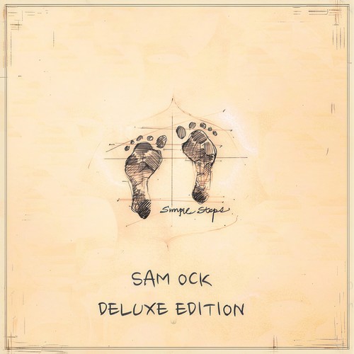 Simple Steps (Deluxe Edition)