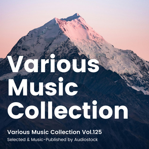 Various Music Collection Vol.125 -Selected & Music-Published by Audiostock-