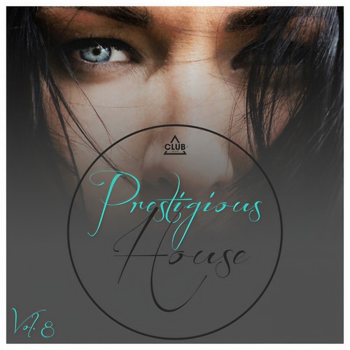 Prestigious House, Vol. 8