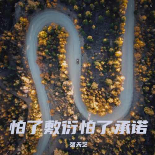 怕了敷衍怕了承诺