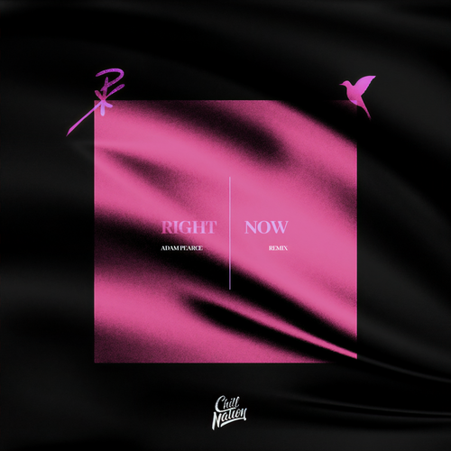 Right Now (Adam Pearce Remix) [Explicit]