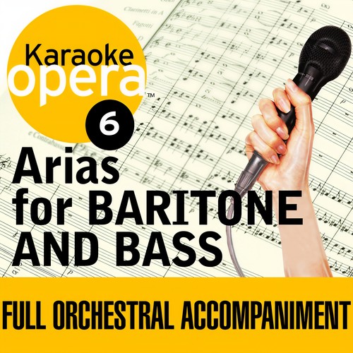 Karaoke Opera: Arias For Baritone & Bass