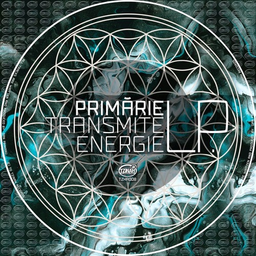 Transmite Energie