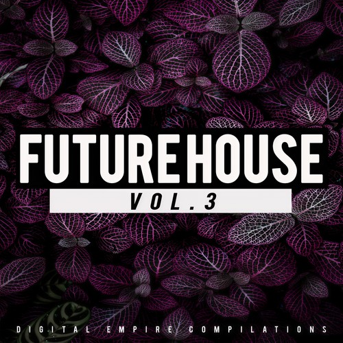 Future House, Vol.3 (Explicit)