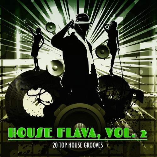 House Flava, Vol. 2 (20 Top House Grooves)