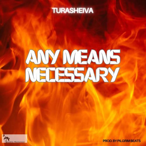 Any Means Necessary (Explicit)