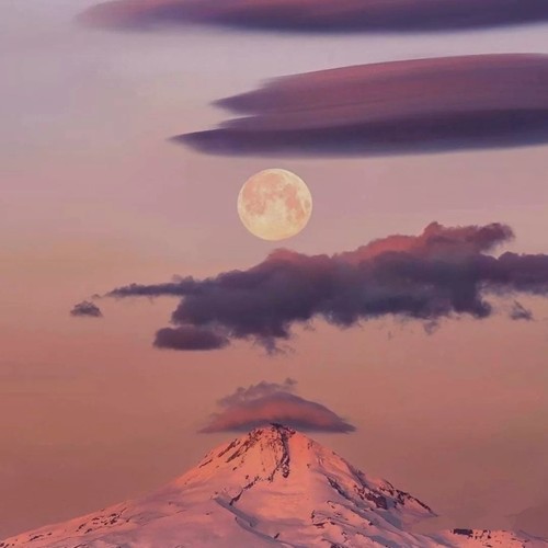II.爱