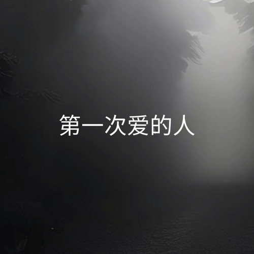 第一次爱的人