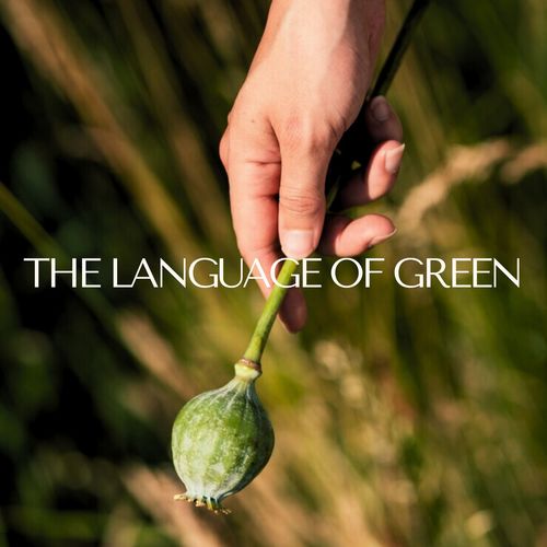 The Language of Green (Harvest of Quiet Moments)