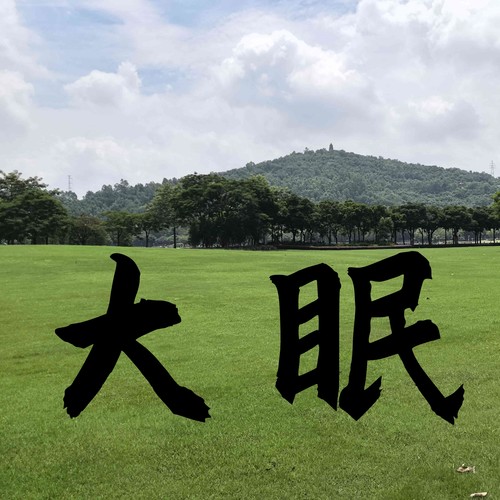 大眠 (氛围版)