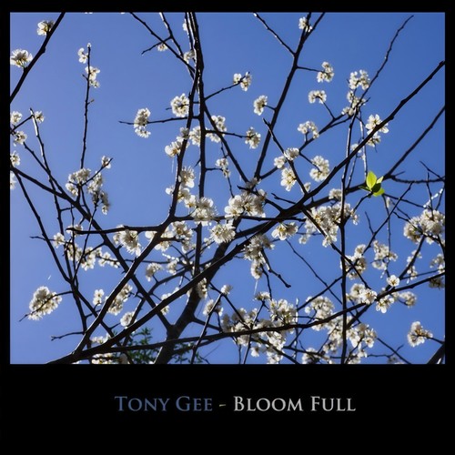 Bloom Full