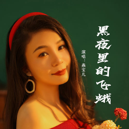 黑夜里的飞蛾