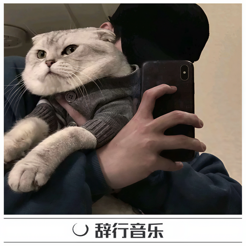 废材失眠症