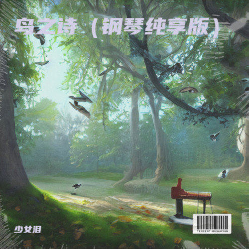 鸟之诗（钢琴纯享版）