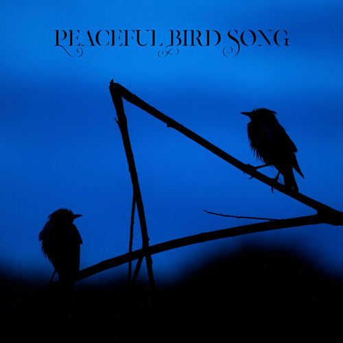 Peaceful Bird Song