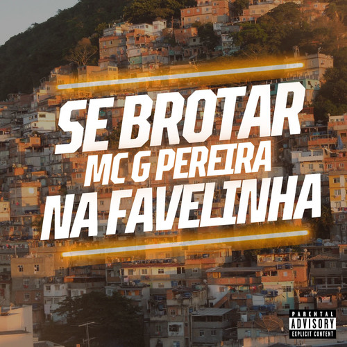 Se Brotar Na Favelinha (Explicit)