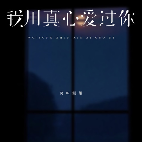 我用真心爱过你
