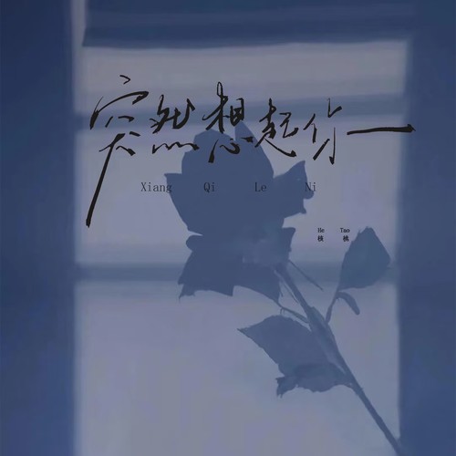 想起了你