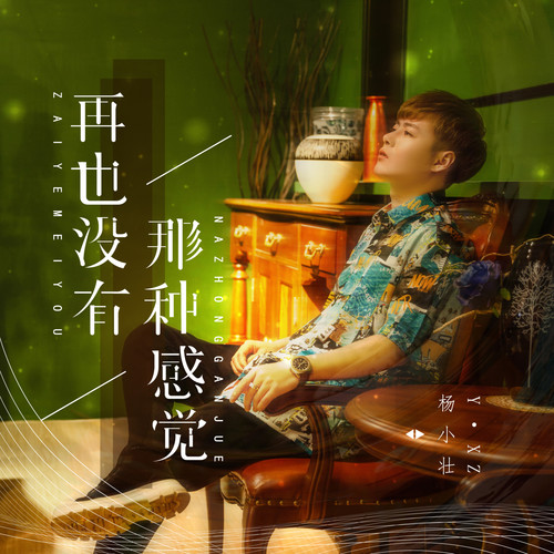 再也没有那种感觉 - 杨小壮