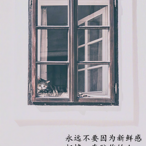 走开吧爱情